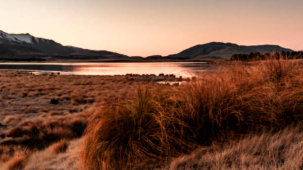 Lake Heron in New Zealand's South Island
