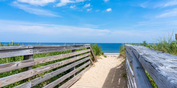 istock Old wooden path to the beach. Coastal dune protection. 1368710116