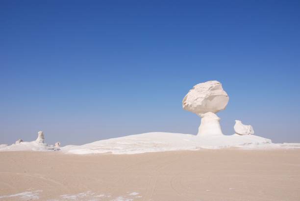 istock desert with bizzre shaped rocks in Egypt 1368717975