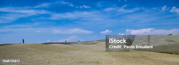 Colline Toscane Stock Photo - Download Image Now - Agricultural Field, Agriculture, Beauty In Nature