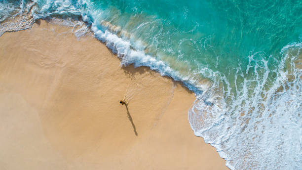 istock Aerial view waves break on white sand beach 1368730752