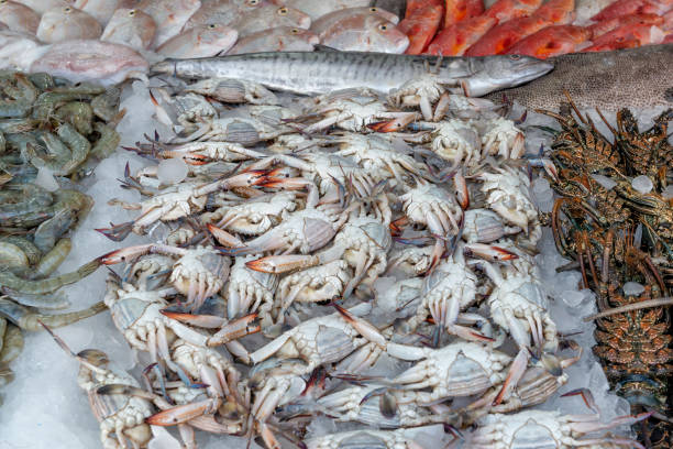 Fresh crabs, shrimps, lobsters and fish in a local fish market