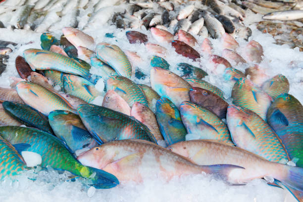 istock Fish in a market background 1368733034