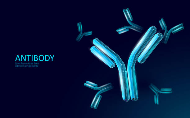 illustrazioni stock, clip art, cartoni animati e icone di tendenza di risultato del vaccino contro l'immunoglobulina anticorpale contro il coronavirus. modello di infezione medica 3d. modello di poster covid di immunizzazione. illustrazione vettoriale del certificato di passaggio verde dell'esame del sangue - anticorpo