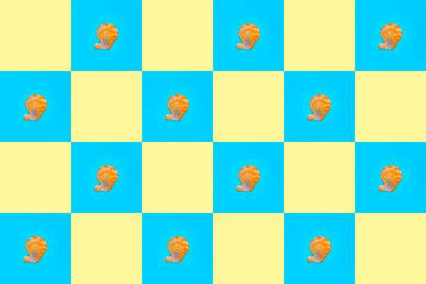 Flat Lay wallpaper background image of coastal seashells on a checkered blue background