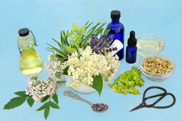 médecine naturopathique à base de plantes avec des fleurs et des herbes - mortar and pestle lavender chamomile herb photos et images de collection