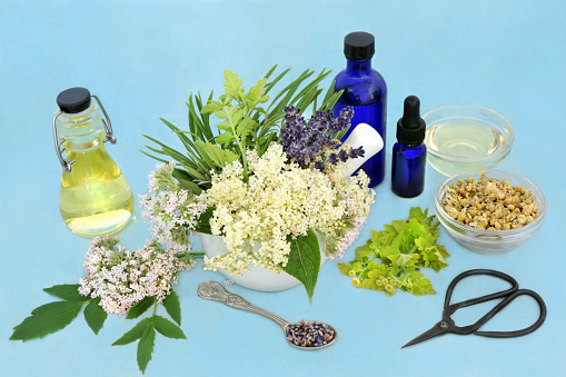 Naturopathic herbal medicine with valerian, chamomile, lavender & elder flower herbs with preparation equipment. Used as a tranquiliser, reduces anxiety & is a calming natural drug. On mottled blue.