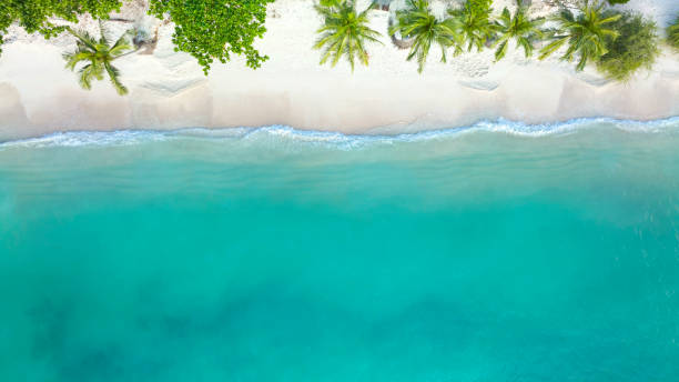 istock The tropical  summer white sand beach with a water wave background -Summer season image 1368744699