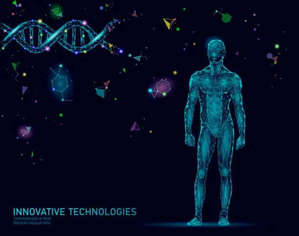 Vector illustration of Abstract human body anatomy. DNA engineering science innovation superman technology. Genome health research cloning medicine low poly 3D render polygonal geometric virtual reality vector illustration