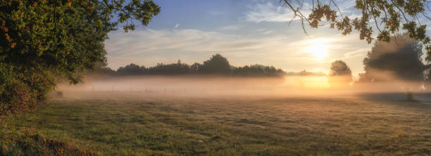 Panoramic on meadows near Hannover, germany during sunrise in autumn stock photo