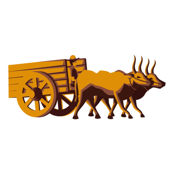 만화 디자인으로 소 카트의 클립 아트 - oxen yoke stock illustrations