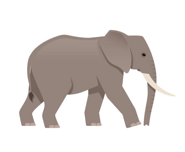 afrikanischer elefant-seitenansicht - elefant stock-grafiken, -clipart, -cartoons und -symbole