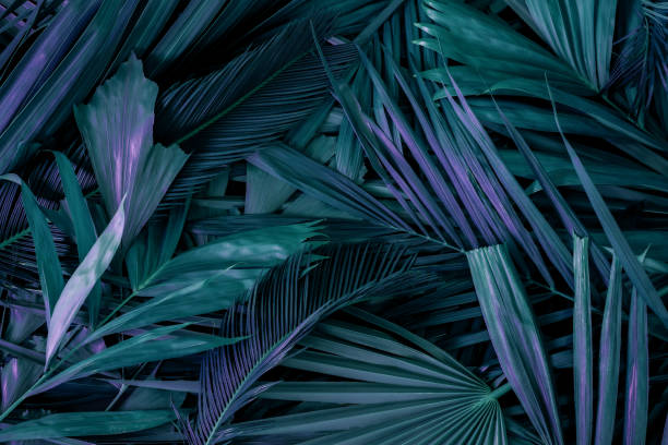 istock Background with dark green tropical leaves, fresh flat background. Flat lay. Nature concept 1368773418