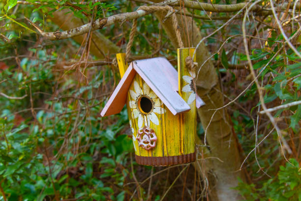 istock Birdhouse in a tree-Hilton Head, South Carolina 1368775881