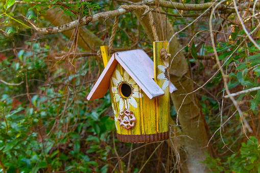 Birdhouse in a tree-Hilton Head, South Carolina