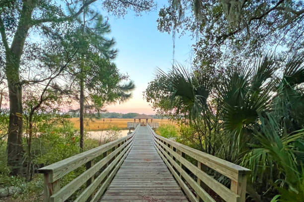 marsh blick vom freedom park-hilton head, south carolina - south carolina stock-fotos und bilder