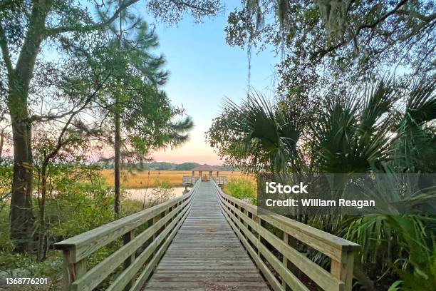 Marsh View From Freedom Parkhilton Headsouth Carolina Stock Photo - Download Image Now
