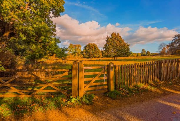 istock walking footpath autumn fall nature outdoors landscape environment beautiful 1368777515