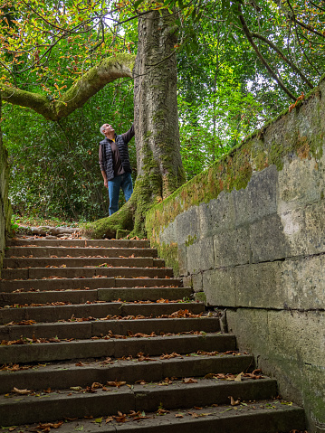 Older man at the top of a stone staircase looking up at the trees in the forest on an autumn day.