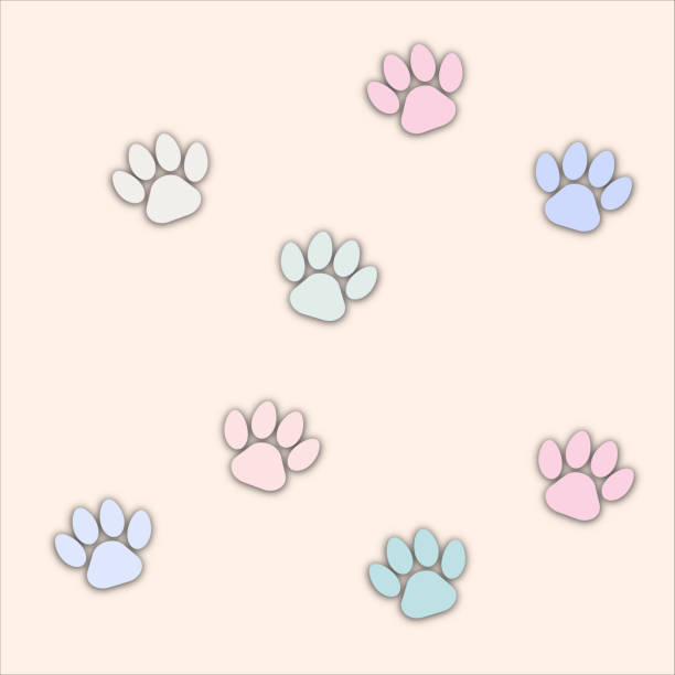 ilustrações, clipart, desenhos animados e ícones de papel corte padrão vetor background pegadas animais - tracing red pets dog