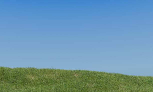 istock Background graphic of blue sky and meadow 1368780117