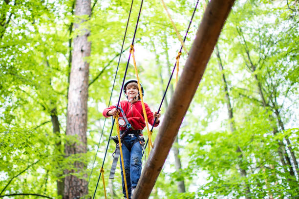 istock Little boy in zip line park 1368780179