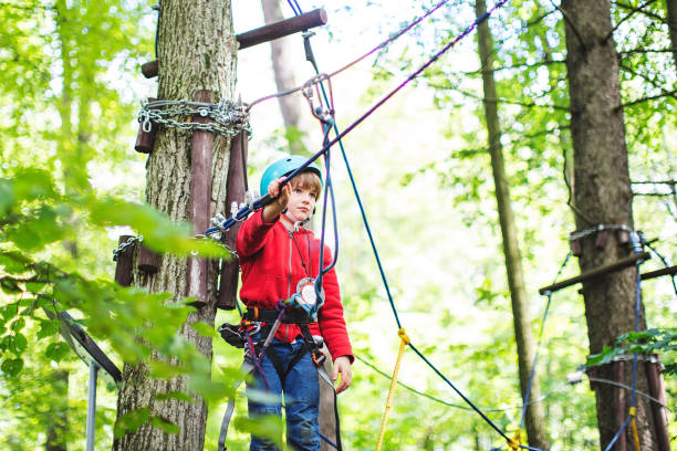 istock Little boy in zip line park 1368780208