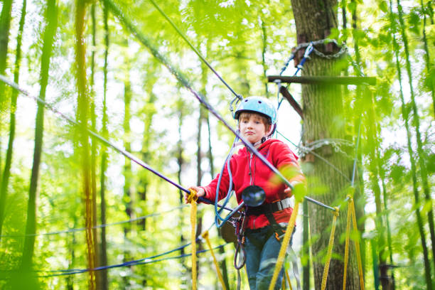 istock Little boy in zip line park 1368780440
