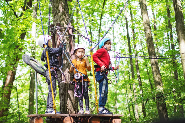 istock Children in zip line park 1368780484
