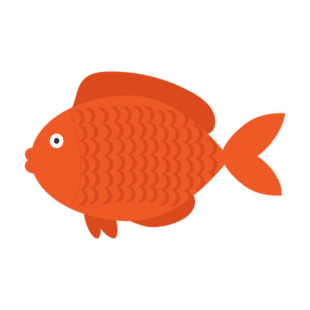Red fish on a white background for use in clipart Vector isolated image for use in website design or as a print cartoon of fish with lips stock illustrations