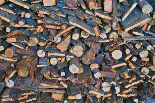 istock Firewood near the wall 1368788001