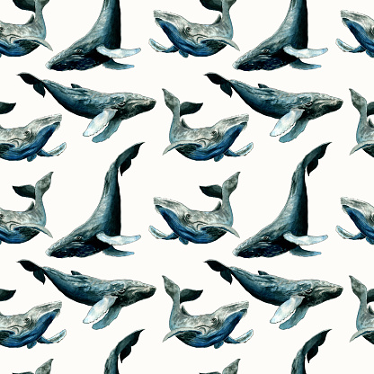 Whales seamless pattern. Hand draws watercolor illustration. Design for fabric, wallcovering, postcards, invitations, paper for scrapbooking.