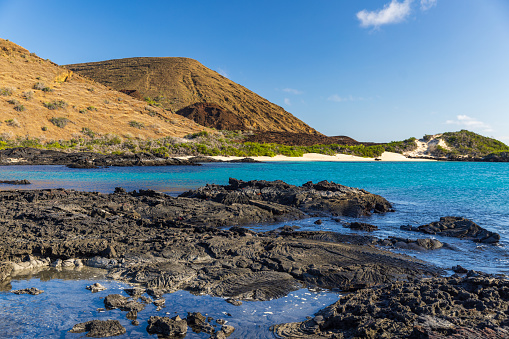 The dramatic shoreline of Sullivan Bay contrasts black lava flow with the bright blue waters and white sandy shores on Santiago Island. Galapagos National Park
