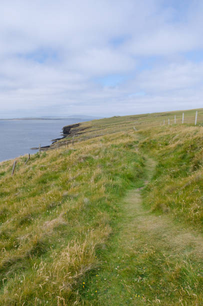 istock A walk along the cliffs at Hoxa Head, Orkney. 1368796707