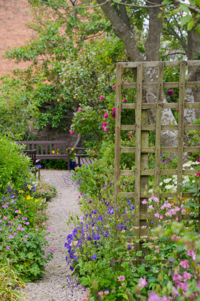istock A small garden in Orkney. 1368796716