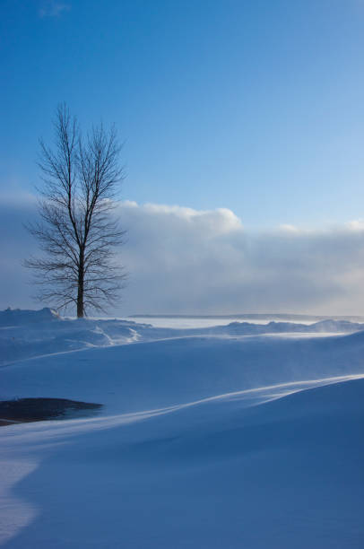 istock Winter on Lake Superior shoreline 1368801777