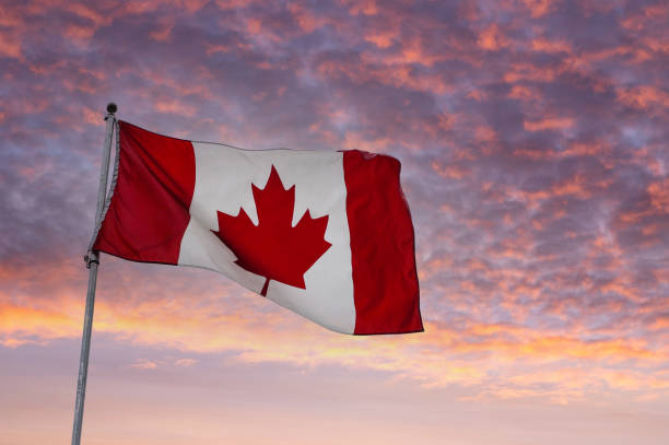 bandeira do canadá voando em um poste ao nascer do sol - canada day fotos - fotografias e filmes do acervo