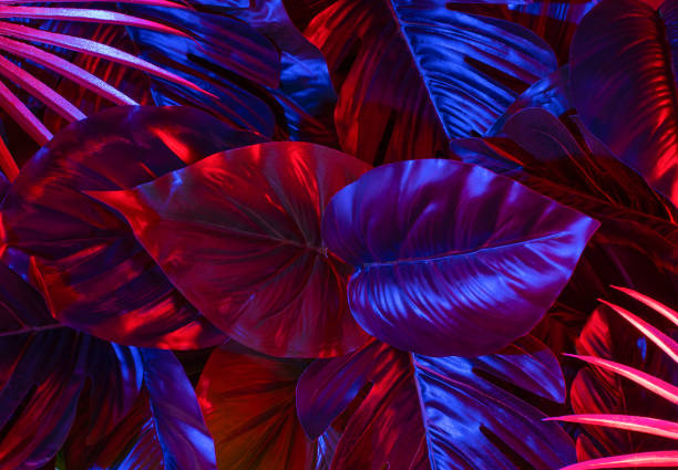 istock Aesthetic background in a frame of leaves, neon botanical design. 1368803584