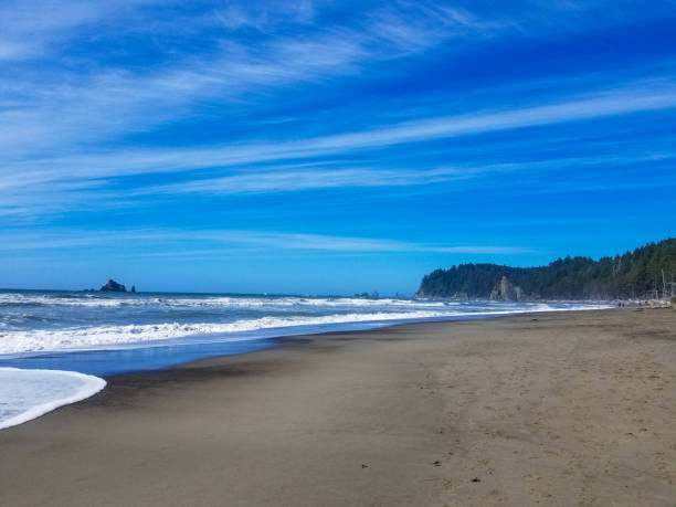 istock Rugged Coast of Rialto Beach in Washington 1368803616
