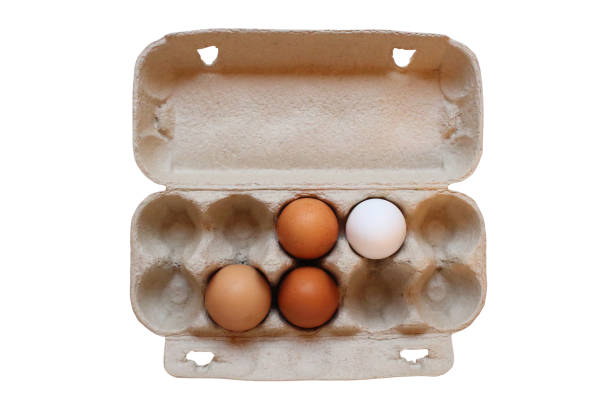 cardboard container with eggs. close-up. view from above. isolated object on white background. isolate. - chicken egg audio imagens e fotografias de stock