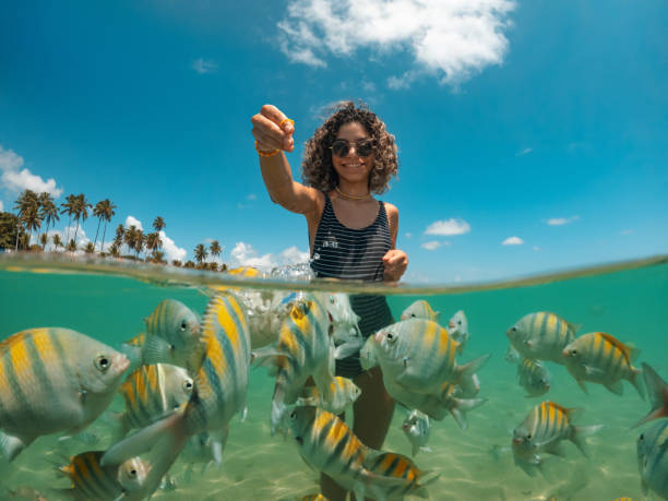 young woman feeding fish on tropical beach - reizen stockfoto's en -beelden