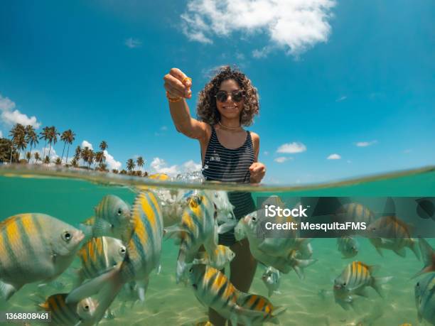 Young Woman Feeding Fish On Tropical Beach Stock Photo - Download Image Now - Travel, Beach, Vacations