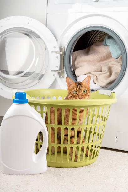 istock Washing machine with linen, laundry detergent and a cat hiding in a laundry basket. 1368808490