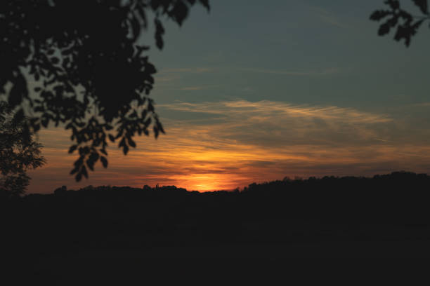 close up view of the partially cloudy sky at sundown with beautiful vibrant colors. trees, plants and hillsides on the foreground