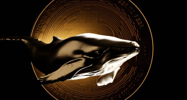 Crypto Whale Bitcoin Cryptocurrency 