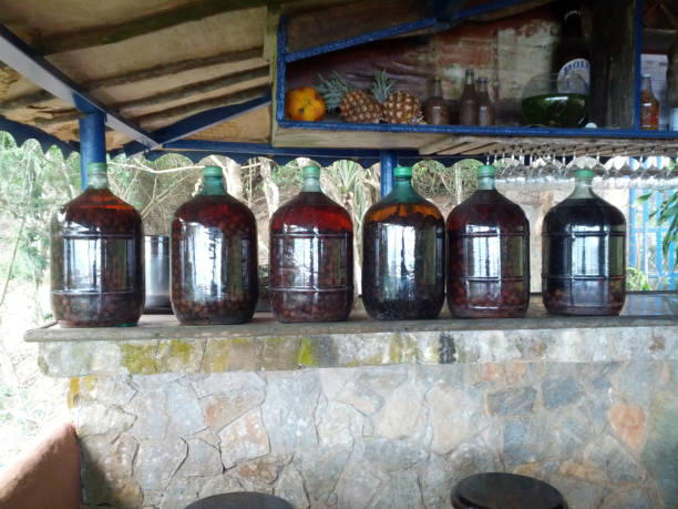 Banzero Refrescante: Cachaça Amburana e Vinho - receita deliciosa profissional - passo 1