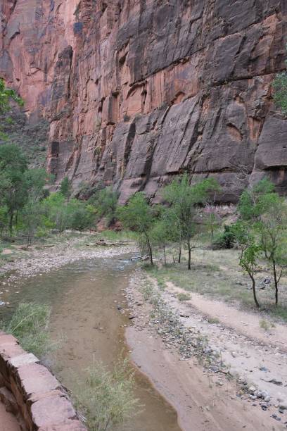 istock Zion National Park, Utah, USA 1368814809