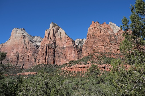 Zion National Park, Utah, USA beautiful scenery including Virgin River, beginning of the Narrows, Riverside Walk, Emerald Pool, waterfall and Court of the Patriarchs.  Gorgeous national park of valleys, canyons, trails, mesas, red rock, sandstones and hiking trails.