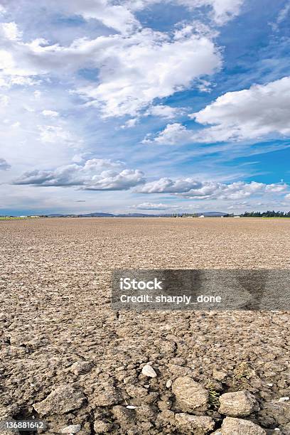 Terra Brulla Farm Campo - Fotografie stock e altre immagini di Fattoria - Fattoria, Iowa, Siccità