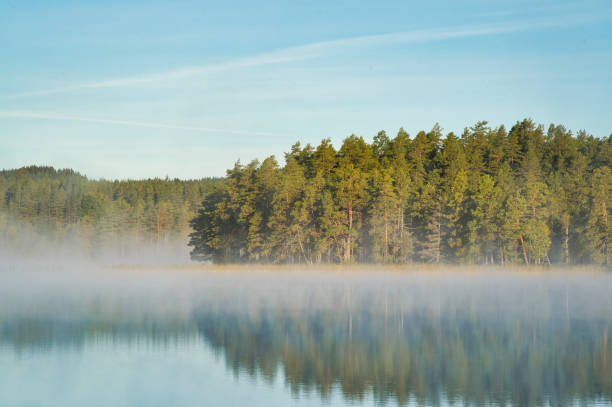 istock beautiful swedish lake in summertime with a blue sky 1368817858